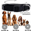 Basic Nylon Dog Collar with Quick Release Buckle Adjustable for Small Medium Large Dogs Bulldog Training Supplies Pet Accessorie