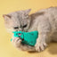 Cartoon cat and dog shaped toys, bite-resistant puppy plush dolls, cat self-entertainment teeth grinding and cleaning interactiv