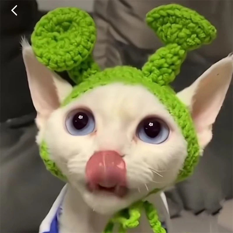 Winter Warm Costume Accessories for Cats Cosplay Funny Animal Flower Knitting Pet Dog Cap Adjustable Head Wear Pet Products