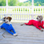 Four Feet Lightweight Pajamas Pure Dog Jumpsuits Tight Dog Coat Nursing Clothes Bodysuit For Small Medium Large Dogs Pet Costume