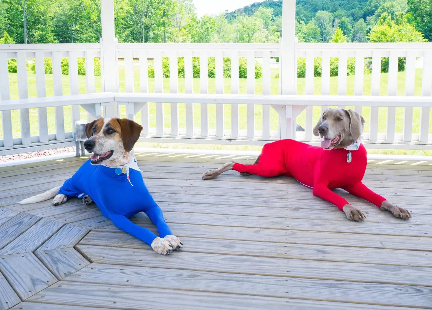 Four Feet Lightweight Pajamas Pure Dog Jumpsuits Tight Dog Coat Nursing Clothes Bodysuit For Small Medium Large Dogs Pet Costume