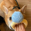 Creative Ring Box Plush Toy Love Diamond Ring Case Stuffed Pet Chew Toy Sounds Puppies Kids Cute Soft Dog Bitter Interested Toys