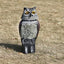 Owl Decoys to Scare Birds Squirrels Away Realistic Bird Repeller Owl Prowler Decoy Protection Repellent Pest Control Scarecrow