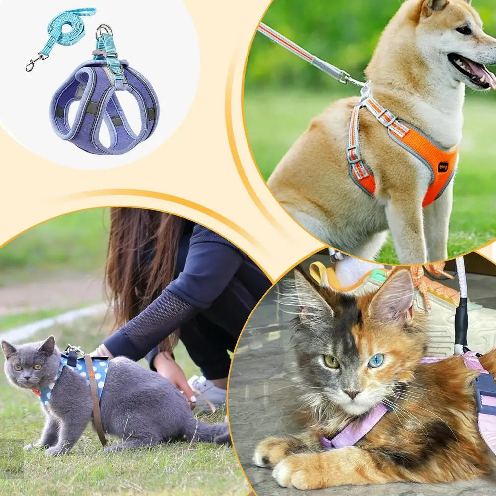 No Pull Pet Harness Dog Vest Harness Breathable Reflective Strips Harness Comfortable Adjustable Soft Padded Harness For Dogs
