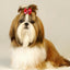 Pet Hair Accessories Bow Headdress Headband Cat Accessories Creative Princess Style Headdress Dress Up Dog Hair Clip Accessories