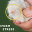 Professional Dog Nail Clippers Puppy Nail Clippers Trimmer Dog Nail Trimmers Grooming Tools Cat Nail Trimmer with Round Holes