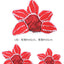 New Creative  Funny Pet Headgear Cosplay Cannibal Flower Hat Pet Dog Cat Halloween Costume Dog Costumes for Small Dogs