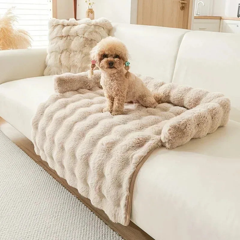 Pet Accessories Dog Bed Small Dog Baskets Puppy Breeds Dogs Medium Bedding Pets Products Large Bad Mat Cushions Beds Big Cushion