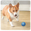 1pcs Dog Toys Intelligent Gravity Jump Ball Rechargeable Bite-Resistant Rolling Ball Cat And Dog Chase Interactive Pet Toys
