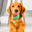 Dogs Interactive Toys Interactive Dog Ball Squeaky Balls Toys Pet Grinding Teeth Toy for Dog Pet Teeth Cleaning Pet Supplies