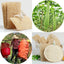 Natural Loofah Sponge Kitchen Sponge Wash Dish Eco-Friendly  Shower Luffa Body Scrubbers Loofa Biodegradable Sponge