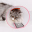 A Pet Dog And Cat Collar Large Dog Medium Dog Small Dog Bite Ring Anti-scratching Collar Recovery Collar