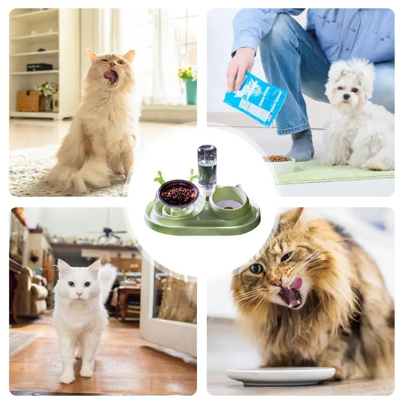 Gravity Cat Feeder And Water Dispenser Set 15Tilted Pets Water And Food Bowl Set Curved Bowl Mouth Raised Cat Bowls Pet Food