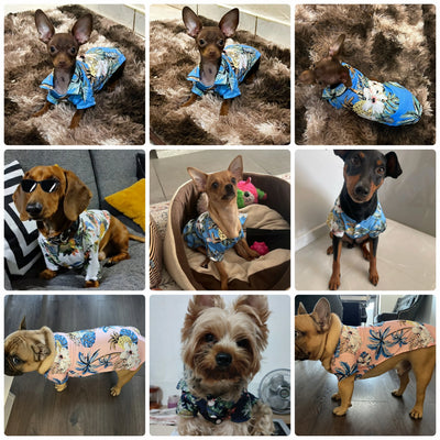 Hawaii Summer Dogs T Shirt For French Bulldog Chihuahua Clothes For Small Dogs Puppy Vest Yorkie Clothing Cats Pet Products