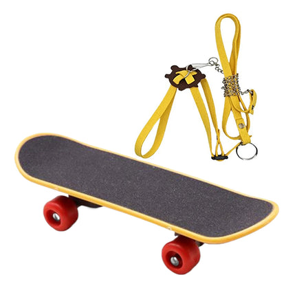 Turtle Feeding Ball Fruit Vegetable Holder with Training Skateboard 2 Treat Balls Turtle Enrichment Toys for Tortoise Turtle