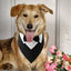 Dog Wedding Bandana Collar Dog Collar Bow Tie Breathable Dog Tuxedo Adjustable Neck Scarf for Weddings Parties Birthdays