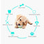 Puppy Teething Toys Fun Tough Innovative Chew Toys Rubber Dog Toys Gentle Professional Puppy Dog Chew Toys For Teething