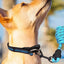 Reflective Dog Collar Adjustable Neck Collars With Rope Kit For Pet Puppy Weatherproof Dog Collar Padded Suitable Puppy Collar
