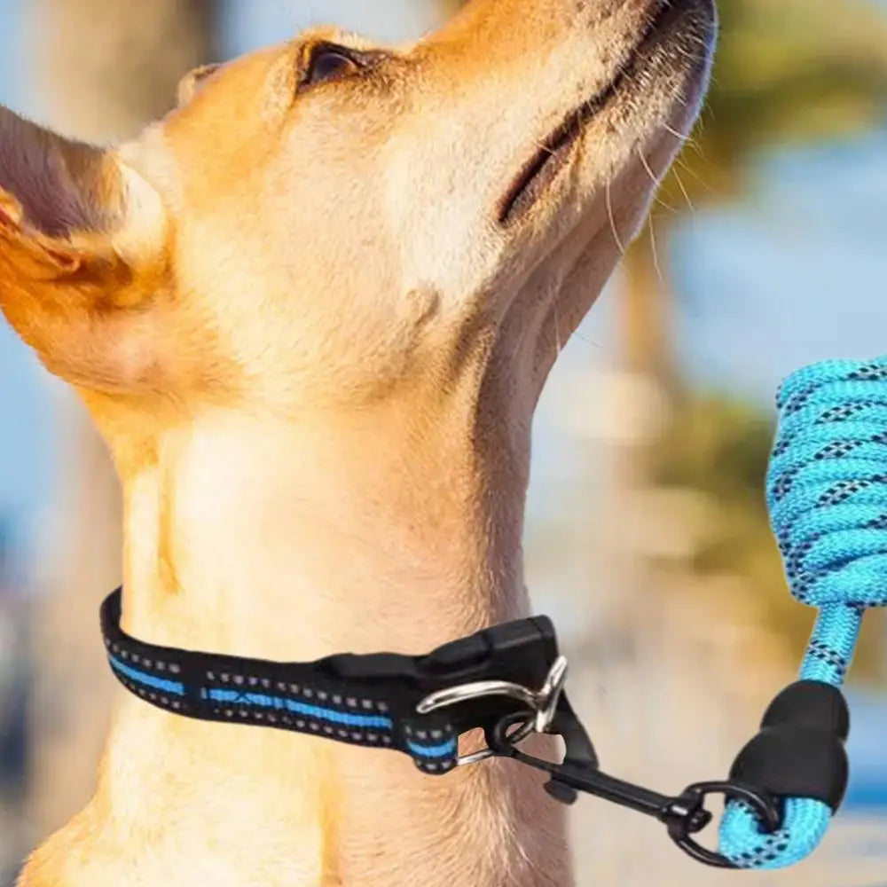 Reflective Dog Collar Adjustable Neck Collars With Rope Kit For Pet Puppy Weatherproof Dog Collar Padded Suitable Puppy Collar