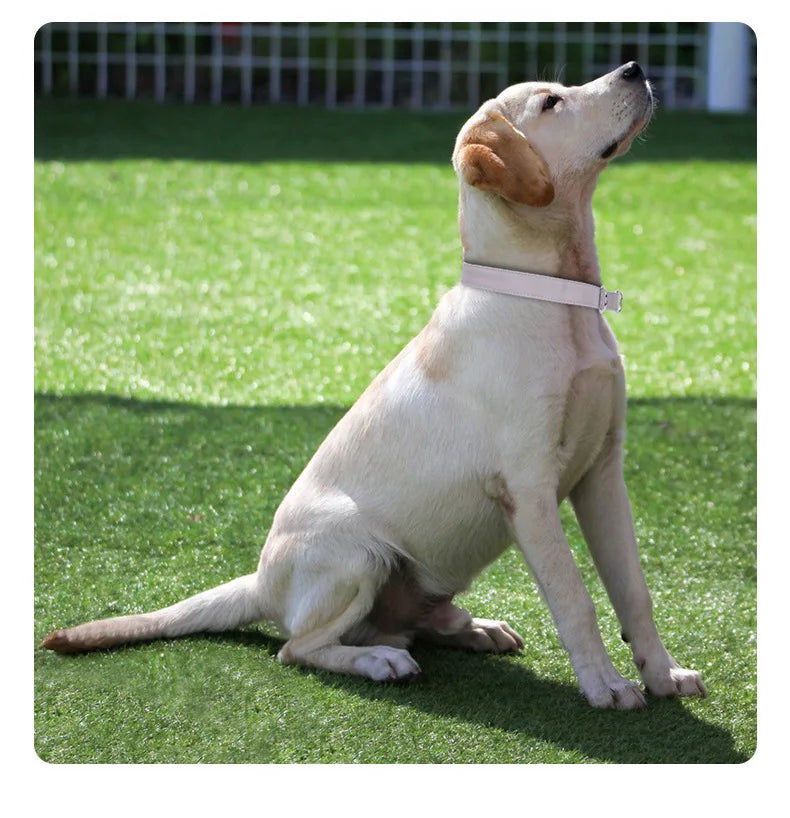 Slip Collar PU Leather Dog Choke Collar for Dog Training- No Pull Martingale Dog Collar for Small Medium Large Dogs Greyhound