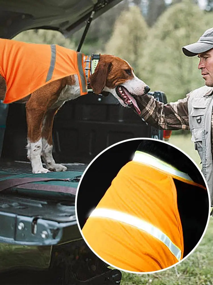 Dog Safety Vest Reflective Dog Vest Night Safety Fluorescent Dogs Clothes Safety Vest Outdoor Training Running Vest Pet Supplies
