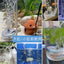 Round Aquarium Fish Tank Filter Transparent Biochemical Sponge Filter Aquarium Water biological Filter Submersible Water Pump