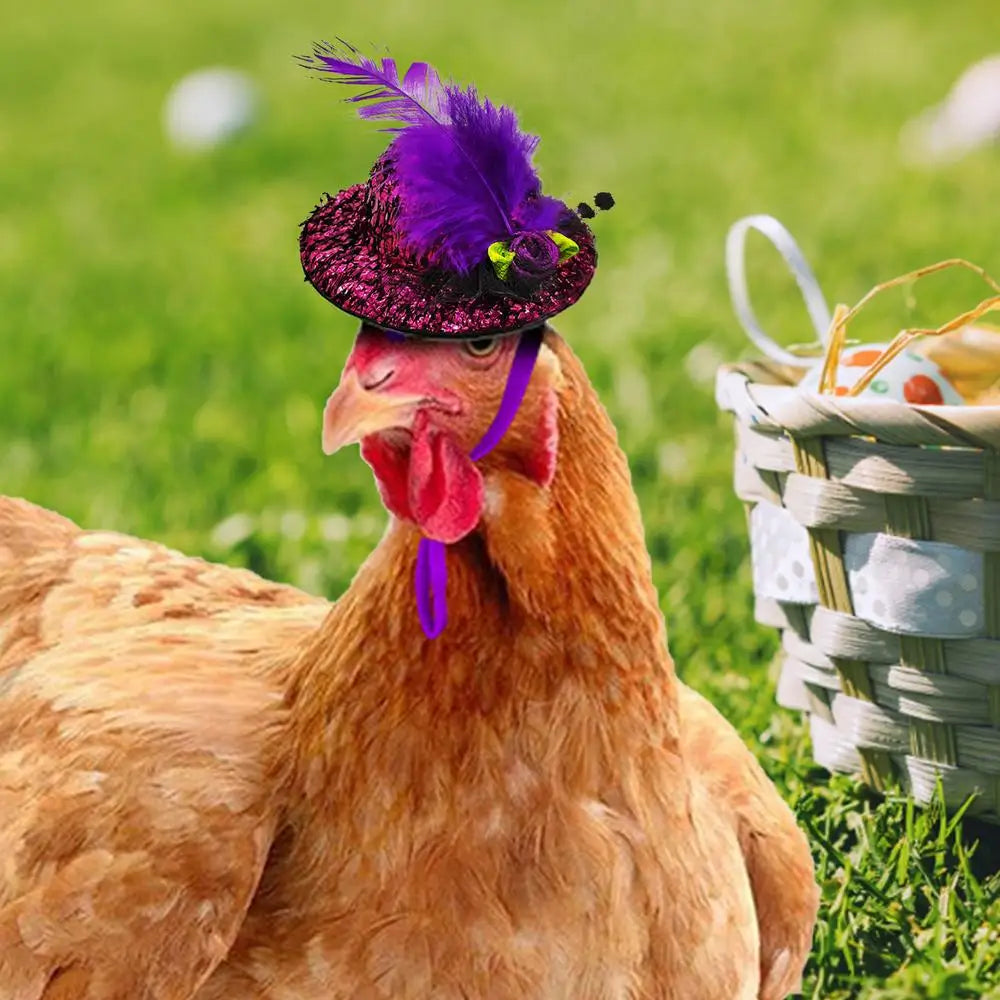 Chicken Feather Hat Wear-Resistant Hen Pet Headdress Feather Top Hat Rooster Duck Parrot Hamster Poultry Fashion Show Clothing
