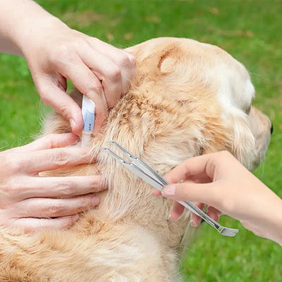 Pet Tick Removal Tool Remove Flea Tick Comprehensive Tool for Pets Tick Control Products Puppy Pet Kitten Flea Cleaning Tools