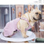 French Bulldog Pet Dog Clothes Corduroy Spring Summer Comfortable Dog Overalls Dogs Clothing Jumpsuit Overalls Pug Clothing