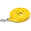 Pet Products Round Colorful PU Rolled Dog Walking Leashes for Small Medium Breeds Dogs Puppy Chain Lead Training Walking Leash