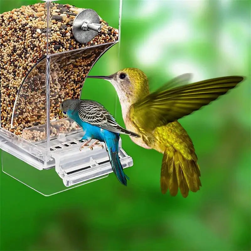 Bird Feeders Parakeet Feeders For Bird Cage Automatic Parrot Feeder Drinker Clear Acrylic Splash-Proof Bird Feeder