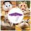Hamster Platform With Ladder Safe PVC Play Gym With Ladder Pet Supplies Small Animal Habitat Decor For Hamsters Hedgehogs