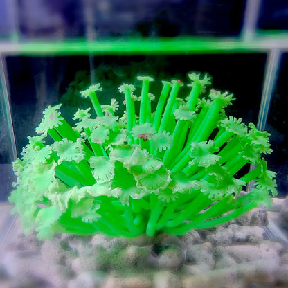 Artificial Underwater Coral  Aquarium Fish Tank Simulation Decoration Aquarium Backgrounds Plants Water Grass Accessories Home