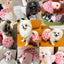 Luxury Summer Dog Dress Princess Style Chihuahua Bichon Korean Striped Skirt Lace Puppy Costume 2025 New Summer Fashion for Dogs