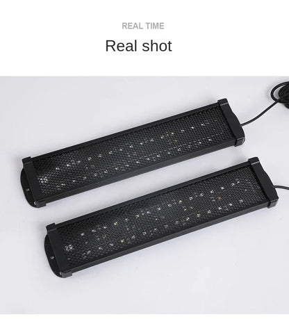 UVA+UVB Reptile Full Spectrum LED Light Turtle Lizard Snake Terrarium Sunbathe Heat Lamp 10.0 20.0 Sun Lamp Sunbathe Heat Lamp