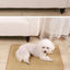 Summer Cooling Pet Dog Bed Wear Resistant Washable Rattan Mat for Cats Multi Size Breathable Teddy Bear Napping Rest Puppy Pads