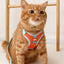 No Pull Cat Harness and Leash Set for Walking Escape Proof, Adjustable Nylon Mesh Cute Cat Harness for Cats Small Medium Dogs