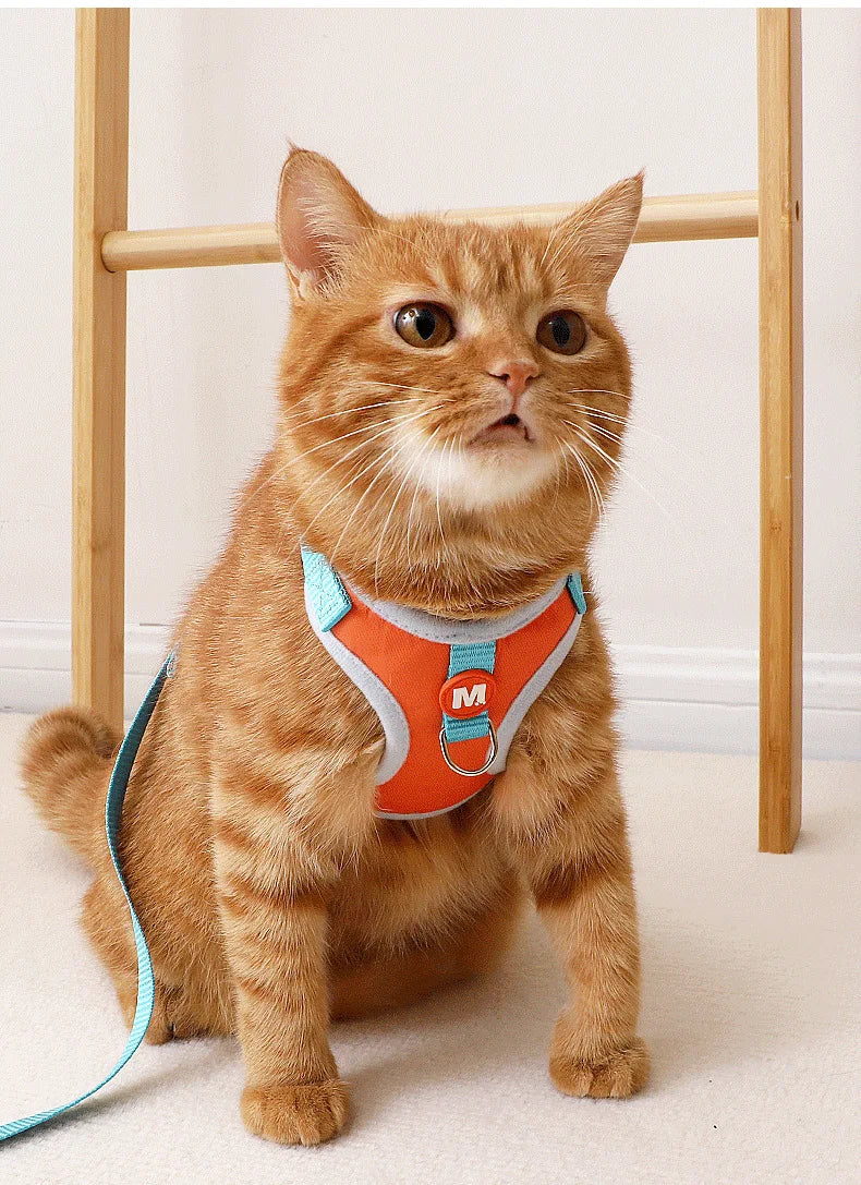 No Pull Cat Harness and Leash Set for Walking Escape Proof, Adjustable Nylon Mesh Cute Cat Harness for Cats Small Medium Dogs