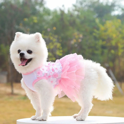 Lace Chiffon Dress for Small Dog Cat Lovely Floral Dress Pet Party Birthday Costume Dog Wedding Dress Cute Dog Clothes in Summer