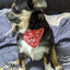 Small Dog Cat Bandana Collar Adjustable Puppy Dog Kitten Neckerchief PU Collar with Printed Triangular Scarf Pet Collar for Cat