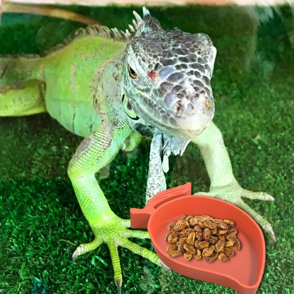 Mango Shape Reptile Water Dishes And Food Bowls For Turtle Tortoises Lizard For Pets Reptile Snakes Geckos Lizards Spiders