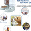 Automatic Water Dispenser Large Capacity Pet Feeder Small Dog Food Bowl  Cat Feeder Drinking Bowl Pet Feeding Drinker Water Bowl