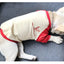 2022 Spring and Autumn New Style Pet Parent-child Clothing Bichon Cat Clothes Embroidered Dog Costumes