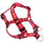 Luxury Designer Dog Harness for Chihuahua Bohemia Print Durable Walking Pet Collar Supplies Medium Big Puppy Leash Accessories
