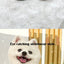 Solid Chamois Velvet Dog Socks Winter Outdoor Walking Chihuahua Non Slip Shoes for Puppy Soft Warm Accessories Feet Protector