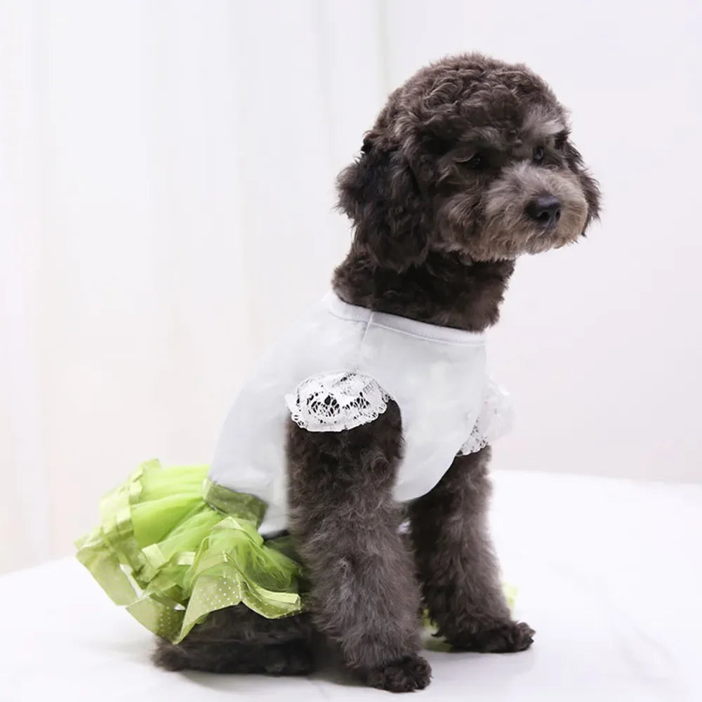 Cute Lace Princess Dog Tutu With Bow - Red, Yellow, Green