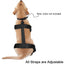 Dog Suspender Boots Waterproof Paw Protectors Non-slip Pets Paws Protector Adjustable Walking Shoes Booties Dog Paw Protectors