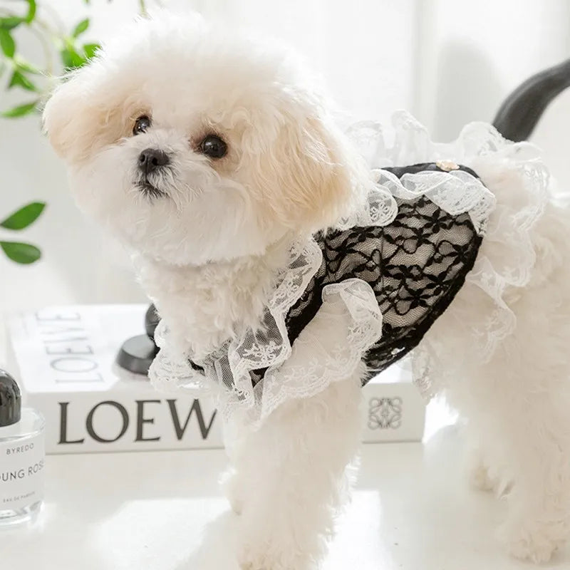 Pet Dog Vest Harnesses Luxury Dog Clothes Sexy Lace Vests Chihuahua Bichon Schnauzer Puppy Harness Cat Dog Shirt Pet Supplies