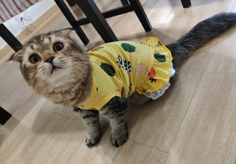 Summer Cotton Cat Dress Skirt Cute Pineapple Cherry Print Pet Clothes Dresses for Cats Sphynx Dog kedi elbisesi ropa para gatos