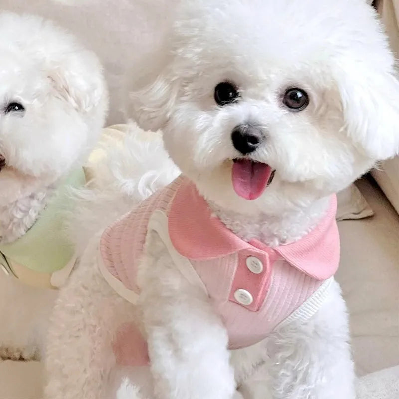 Summer Dog Polo Shirt Puppy Vest Dog Clothes for Small Dogs Cat Dog Cooling Shirt Chihuahua Yorkshire Bichon Girls Dog T-Shirt